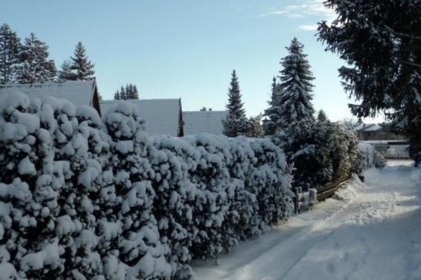Nur-Dach-Ferienhaus für vier Personen - foto 20