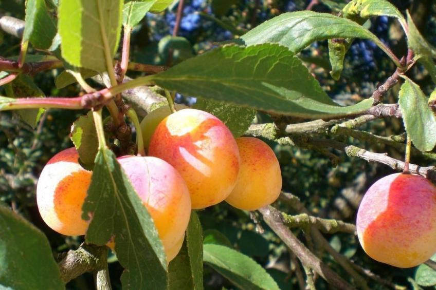 Le Château d'Eau - foto 22