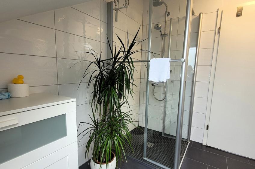 4 SZ/ 8P  - Winterberg Chalet 21096 - foto 19