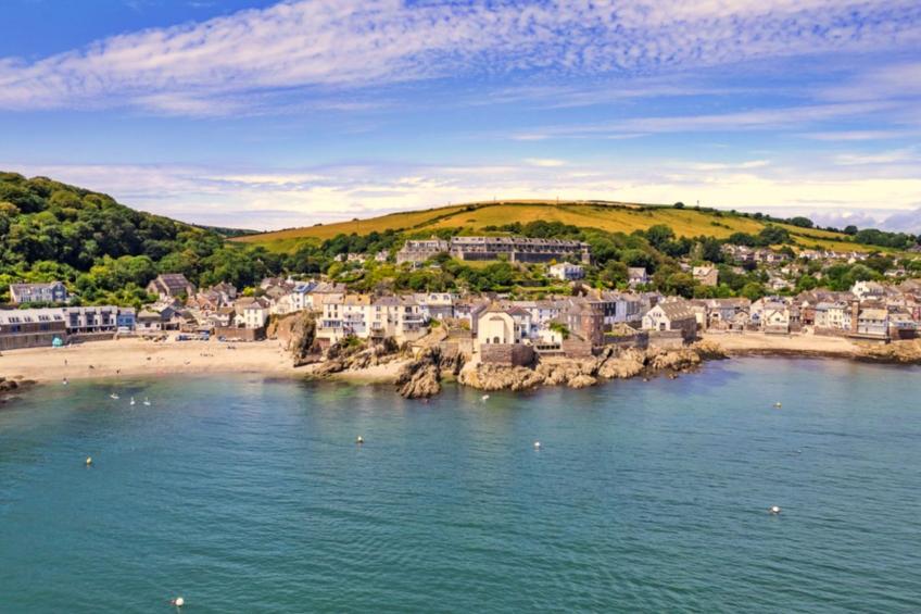 Blue Monkey - foto 18