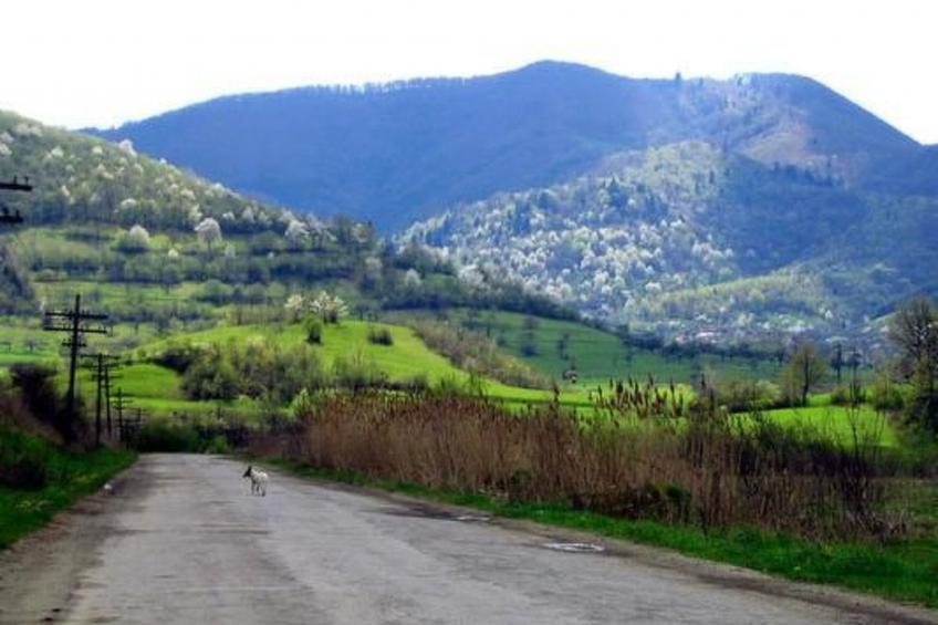 Casa Crina in Karpaten-Dorf in Siebenbürgen - foto 50
