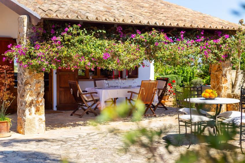 Mulet Llubi - foto 34