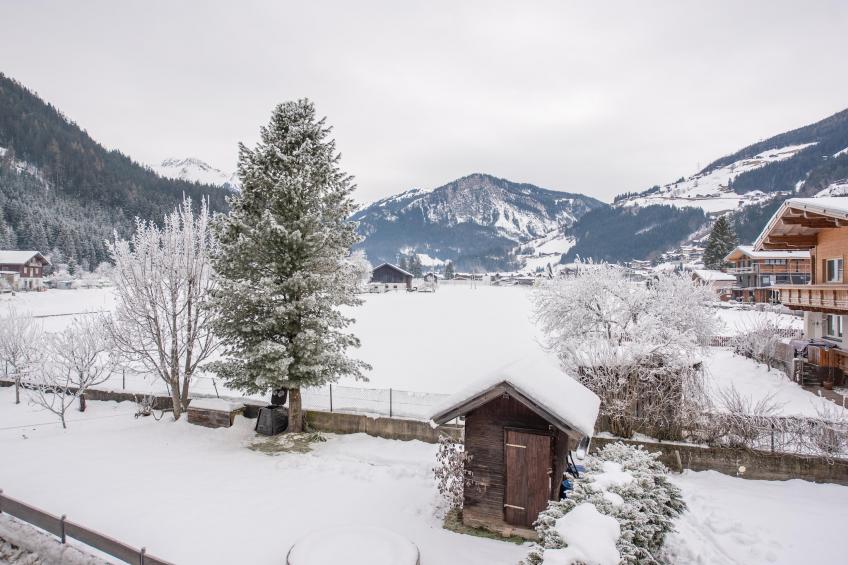 Vakantiewoningen, Wald im Pinzgau - Type B - foto 37