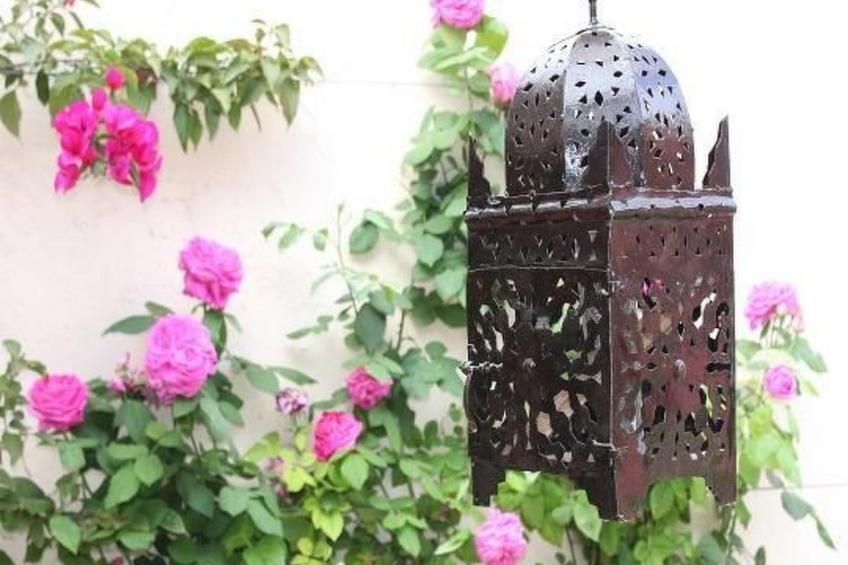 Casa Carmen - foto 22