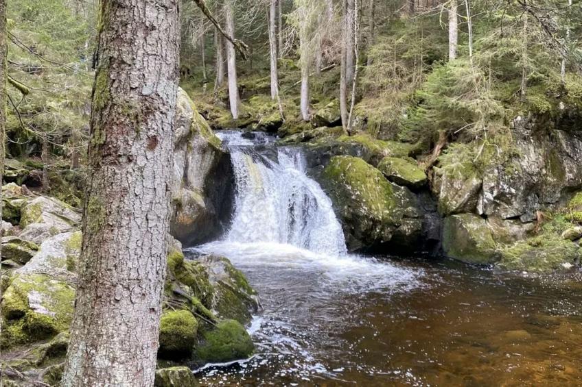 Ferienwohnung Herrischried an der Skipiste - foto 28