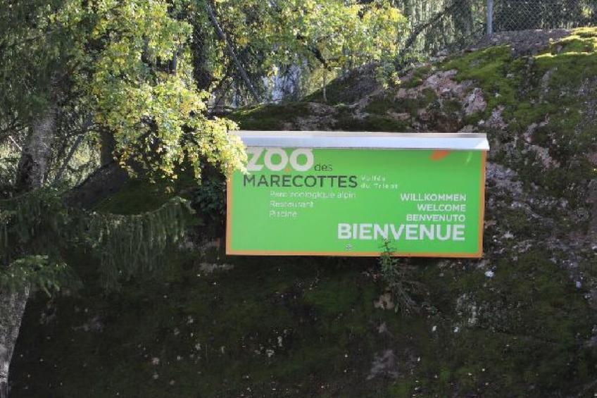 Cosy & Star - Salvan - Les Marécottes - Swiss Alps - foto 10