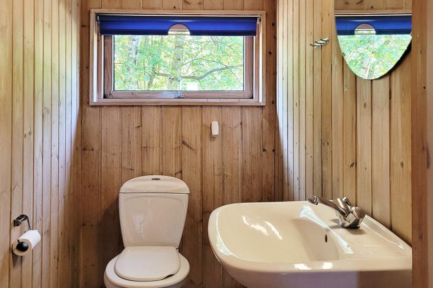 FUGLEKONGEN - foto 23