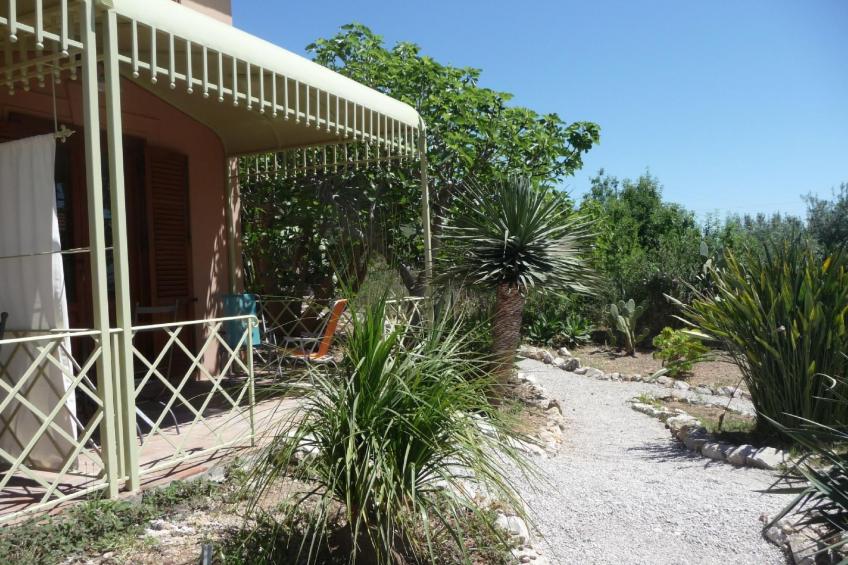 'Suite Ficodindia - foto 13