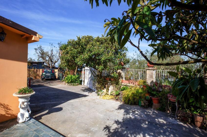 Sonnenstrahl - foto 41