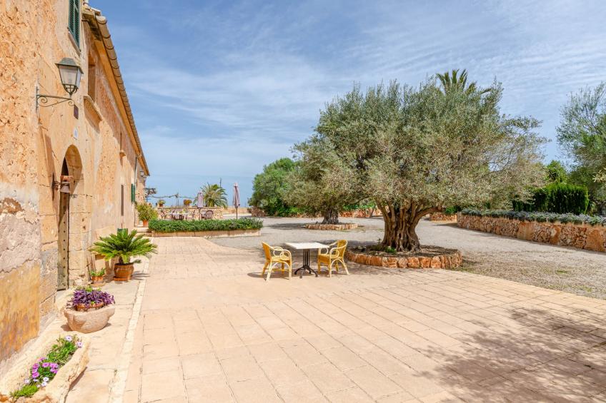 YourHouse Son Sala Agroturismo Vina Vella - doble - foto 44