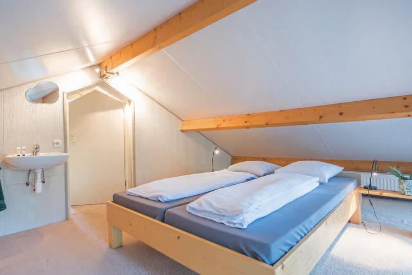 De Rode Ibis - foto 11