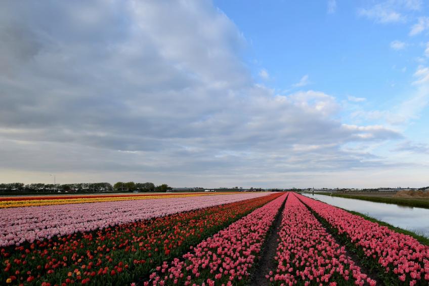 De Zilvermeeuw - foto 40