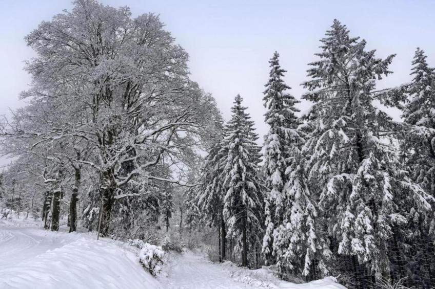 Ferienhaus Anna - foto 31