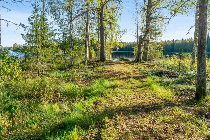 Niemenkärki, vaikon loma ja lohi - foto 26