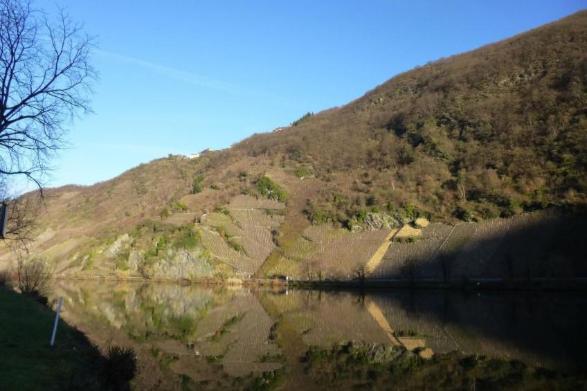 Moselidyll-Traumferienwohnung in exponierter Moselufer-Lage - foto 23