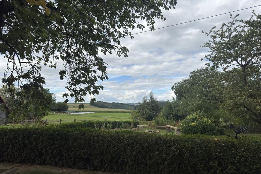 Am Ferienhof - foto 32