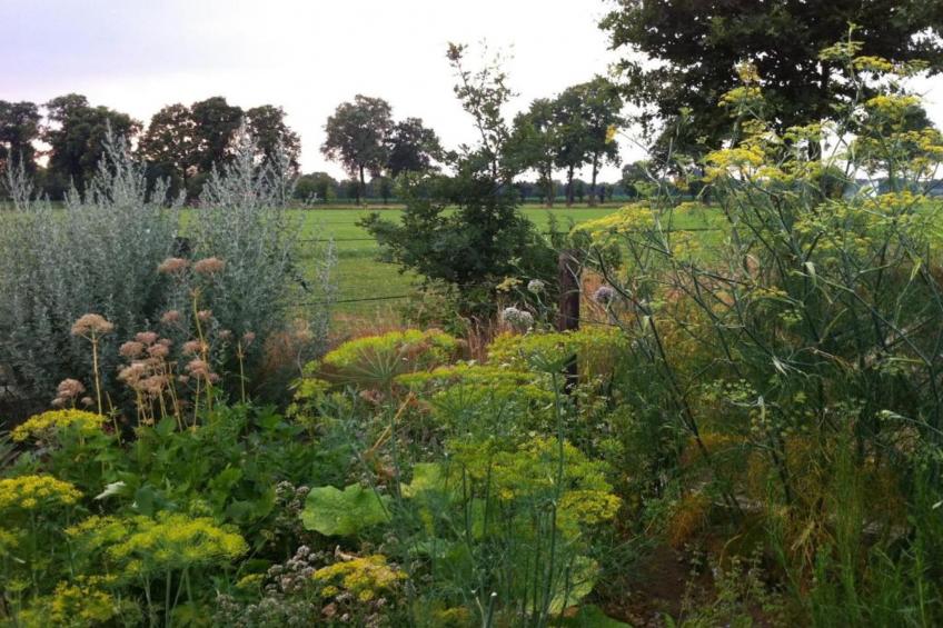 Vakantiepark Hessenheem 5 - foto 25