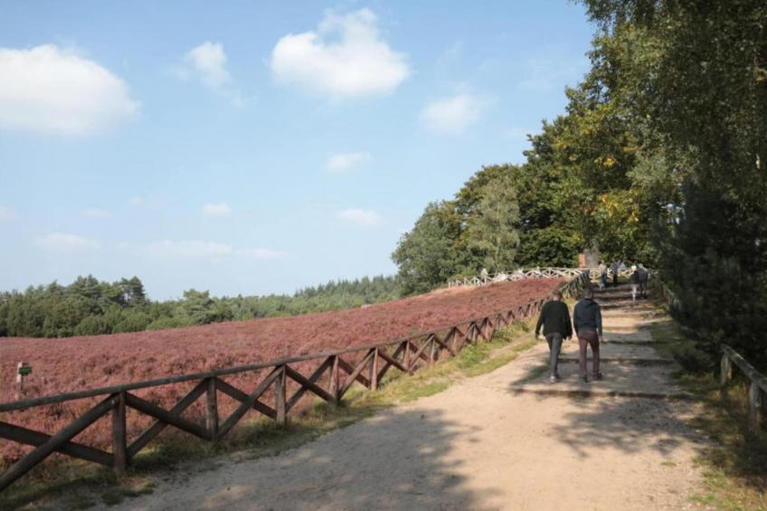 Buitenplaats Holten 16 - foto 28