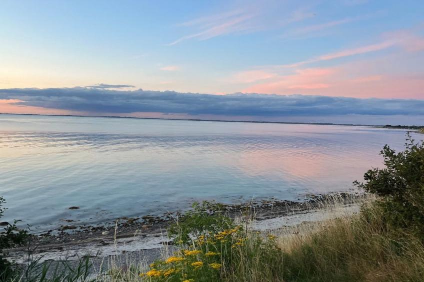 "Eyer" - 20m from the sea in Sealand - foto 5