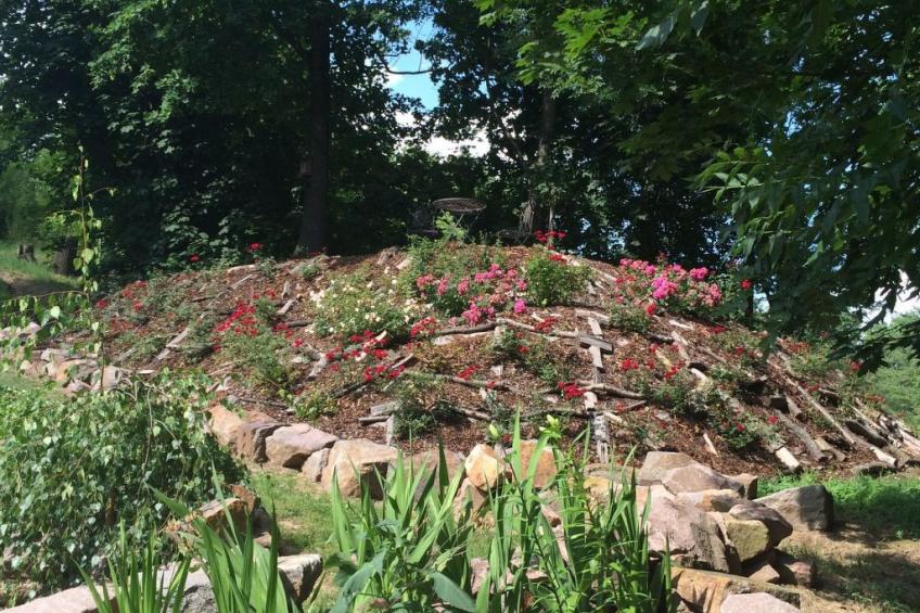 Pleissenhaus - foto 20