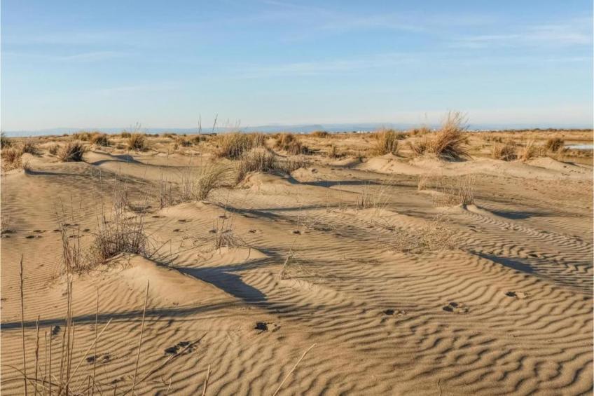 Fleur de Sel - Aigues Mortes - foto 18