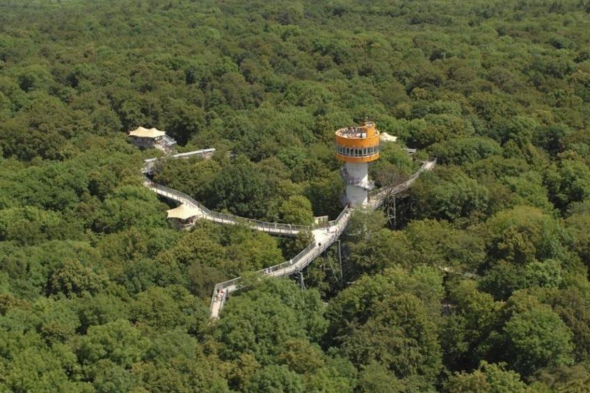 Hof- Ferienwohnung - foto 20