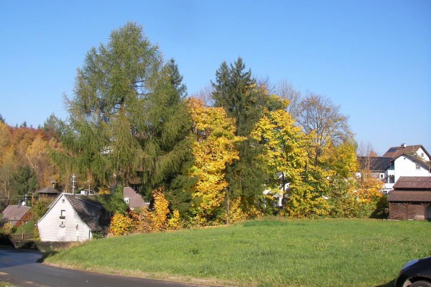 Chalet "Lena" - foto 42