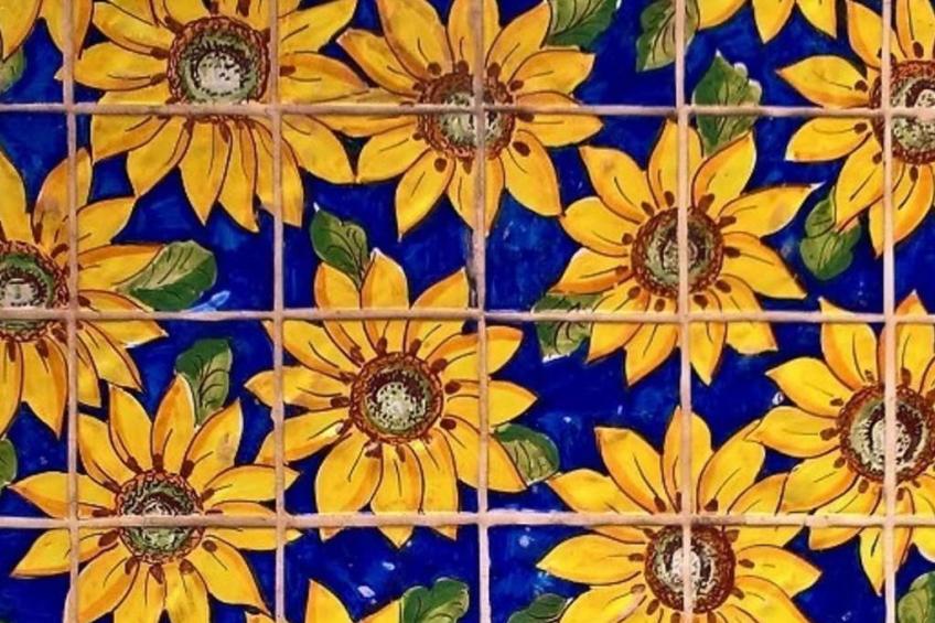 Girasoli in Tricase Porto - foto 37