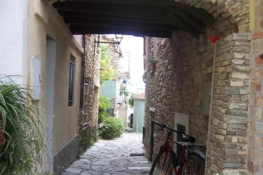 Schönes Ferienhaus mit Garten und Whirlpool - foto 12