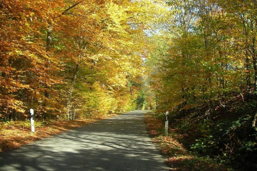 Haus "Hermann" - foto 40