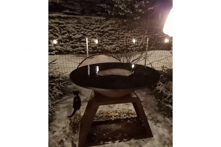 Maquis du cerf - foto 33