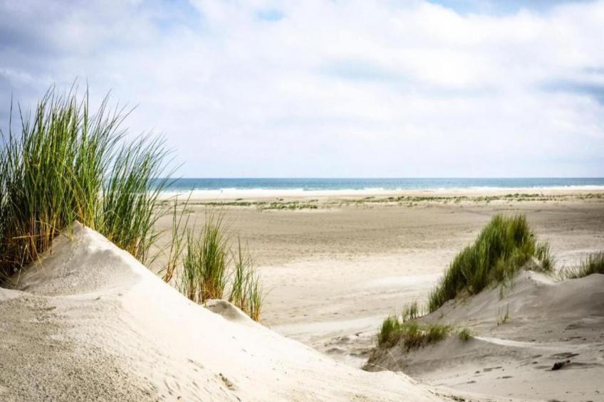 Duindroom op Terschelling - foto 39