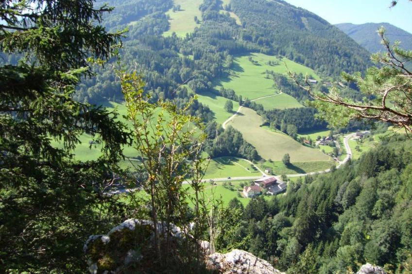 FEWO Gartenblick - foto 25