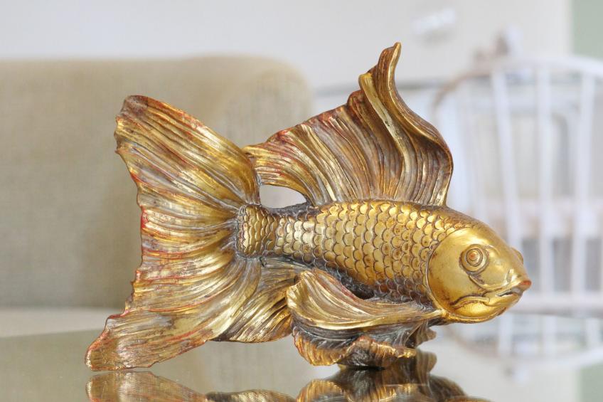 Rustikales, erschwingliches Sommerhaus in Strandnähe - foto 14