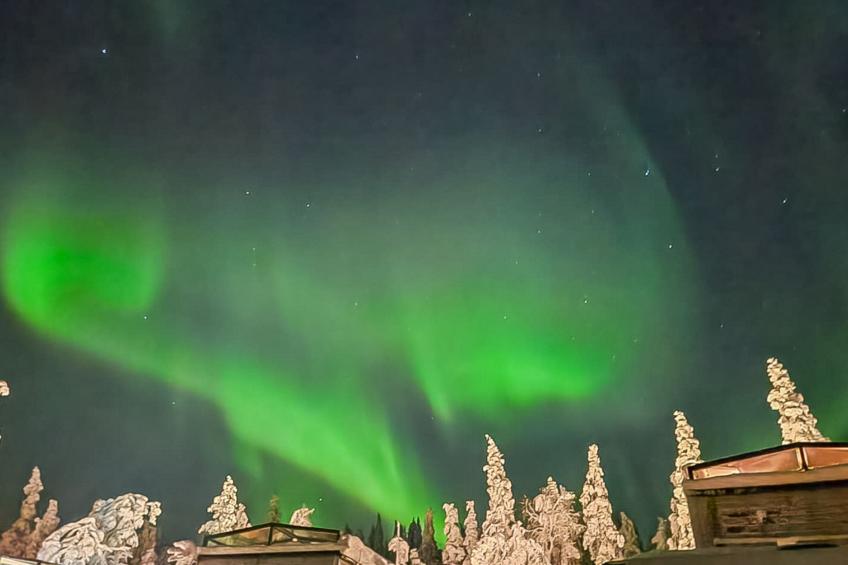 Levi secret igloo ruska 8d - foto 2