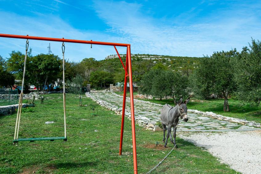 Country House Irena with pool - foto 49