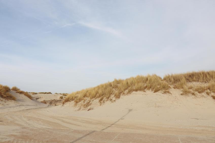 Luxe safaritent op Ameland - foto 16
