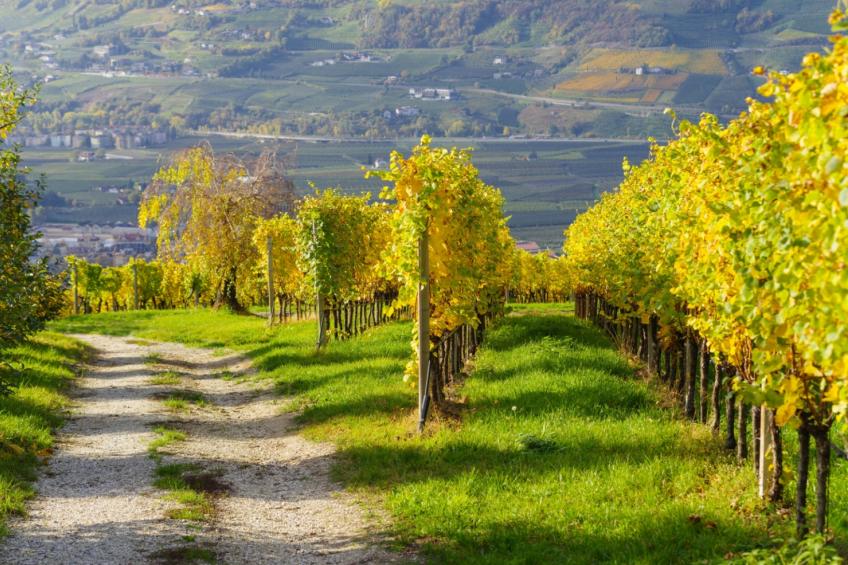 Residence Sporting Club Doppia - Mezza Pensione - foto 17