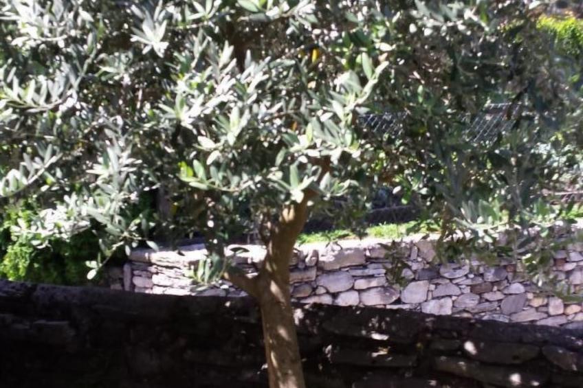 Haus San Cristoforo - Atelier - foto 31