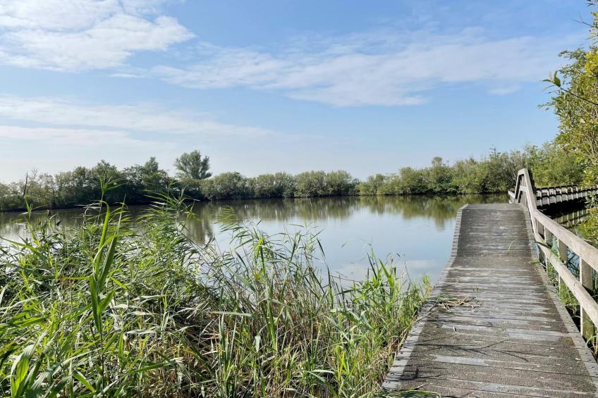 Hip in Sint Maarten - 79 - foto 27