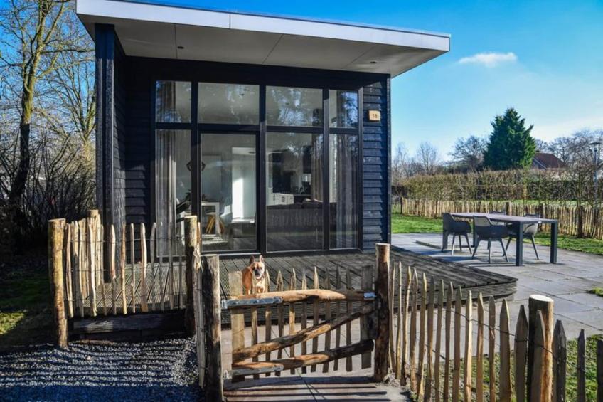 Forest doglodge with enclosed garden I 4 people - foto 11