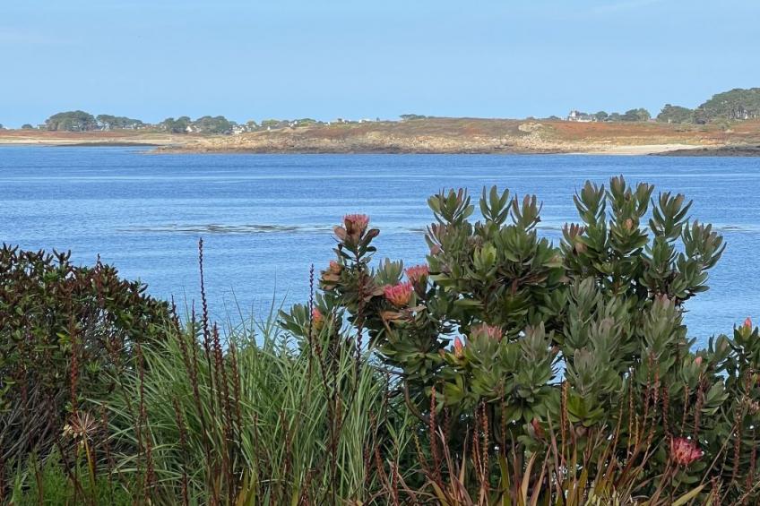 VILLA Kergoz - foto 11