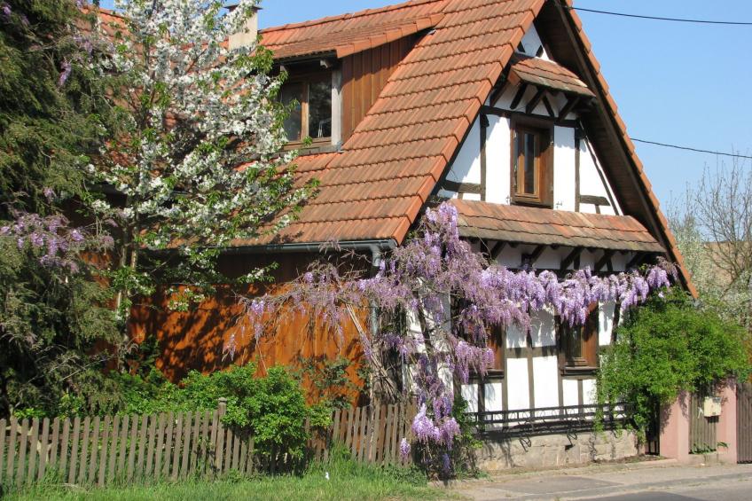 Gemütliches Appartement in Betschdorf - foto 2