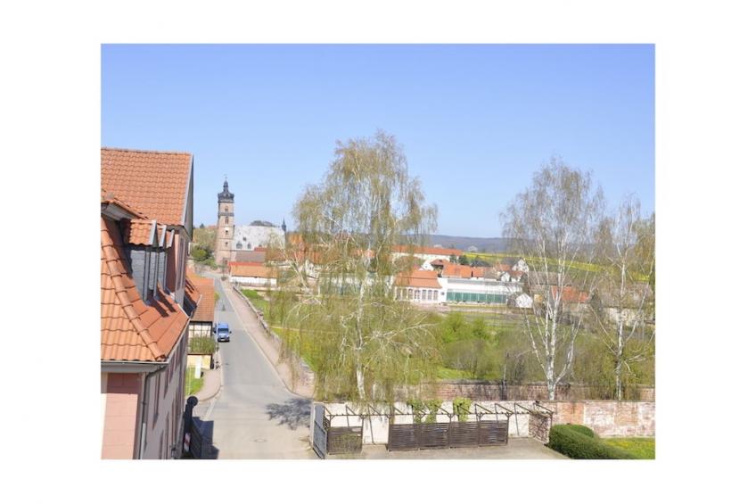 262919 - foto 2