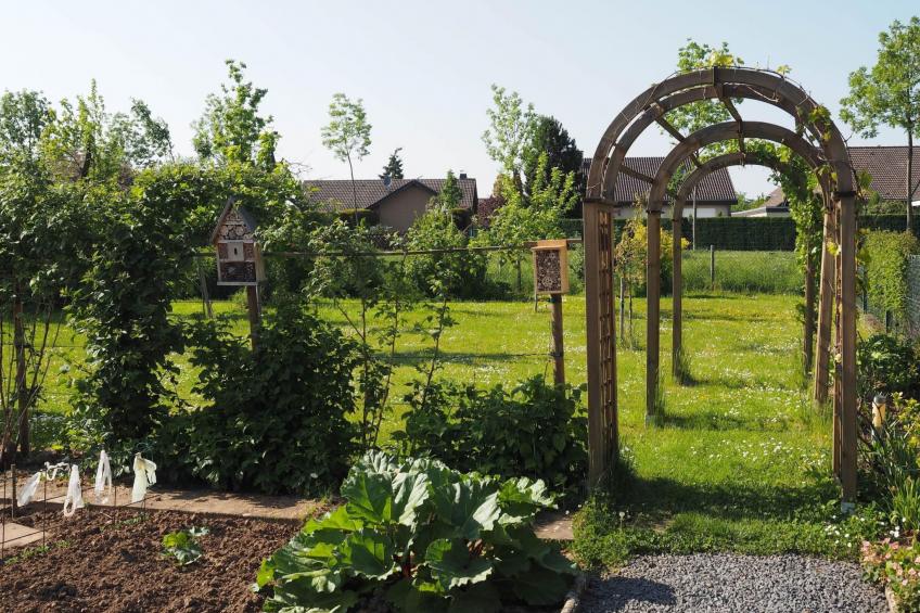 Hochwertige Ferienwohnung mit Terrasse und Garten - foto 9