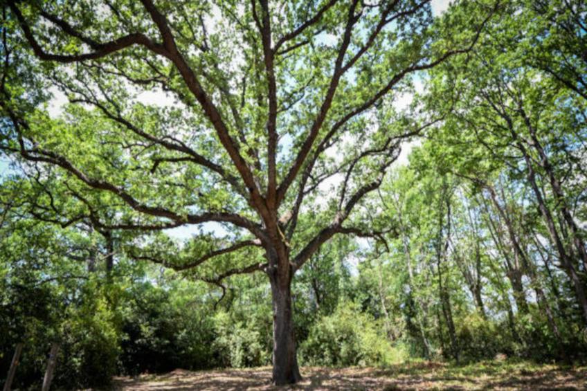 Résidence Le Château de Jouarres - foto 6