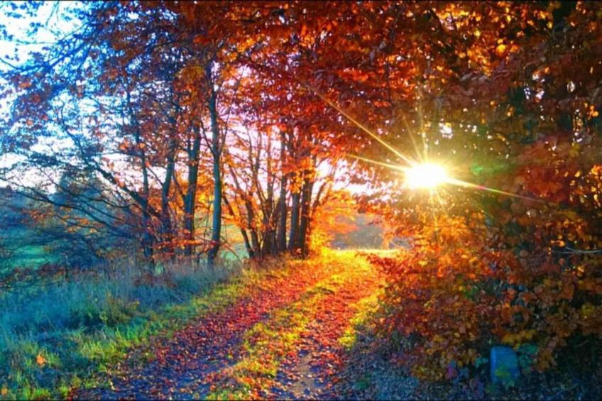 Altes Bootshaus 2 - foto 34