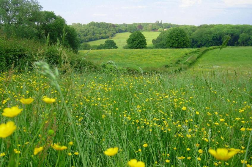 Resort Gulpen 9 - foto 33