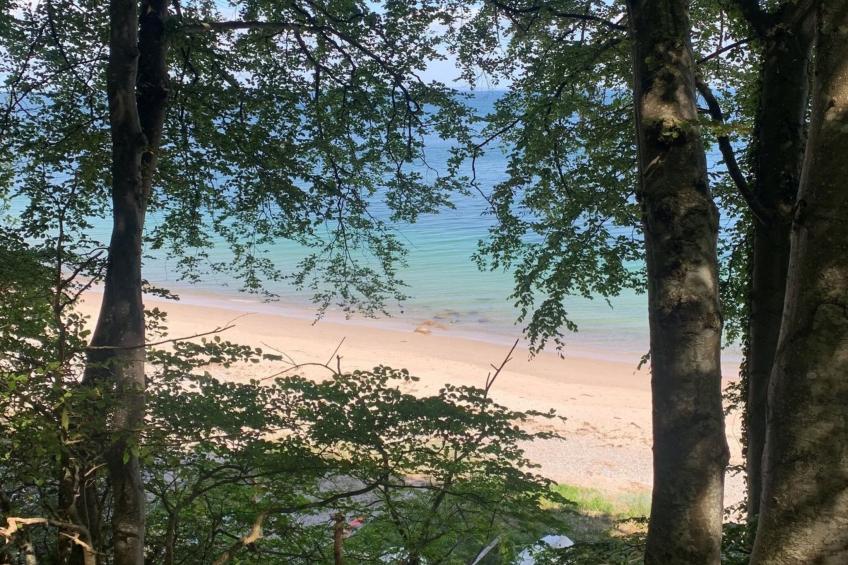 "Lelle" - 350m from the sea in SE Jutland - foto 19