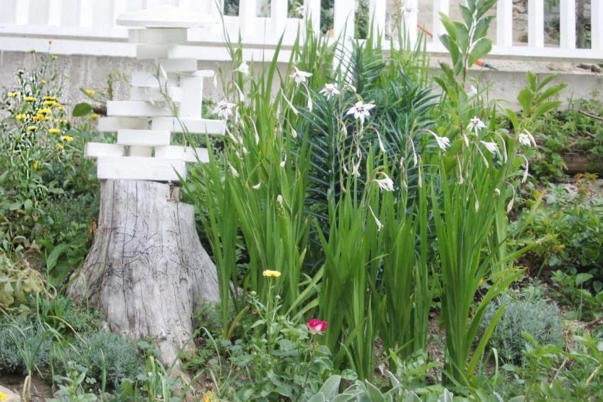 Roomantic Apartment für 4 Personen - foto 7